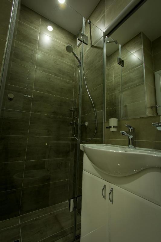 One-Bedroom Apartment image 4