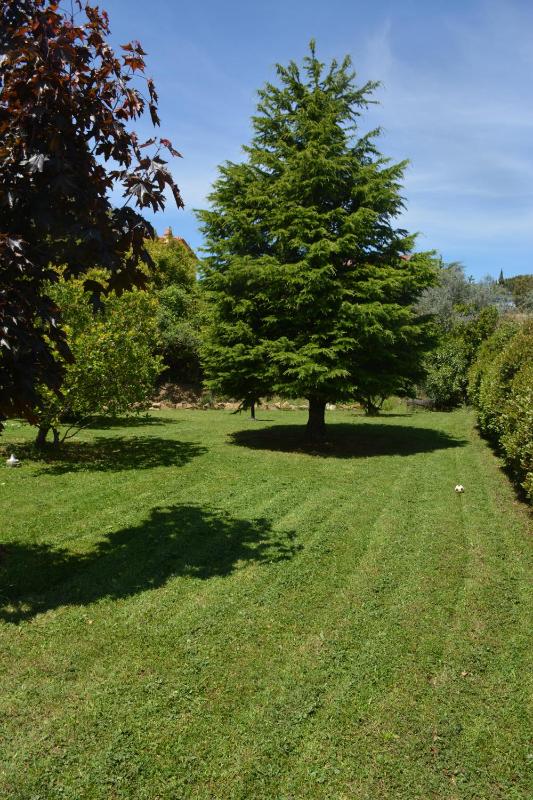 Double or Twin Room image 4