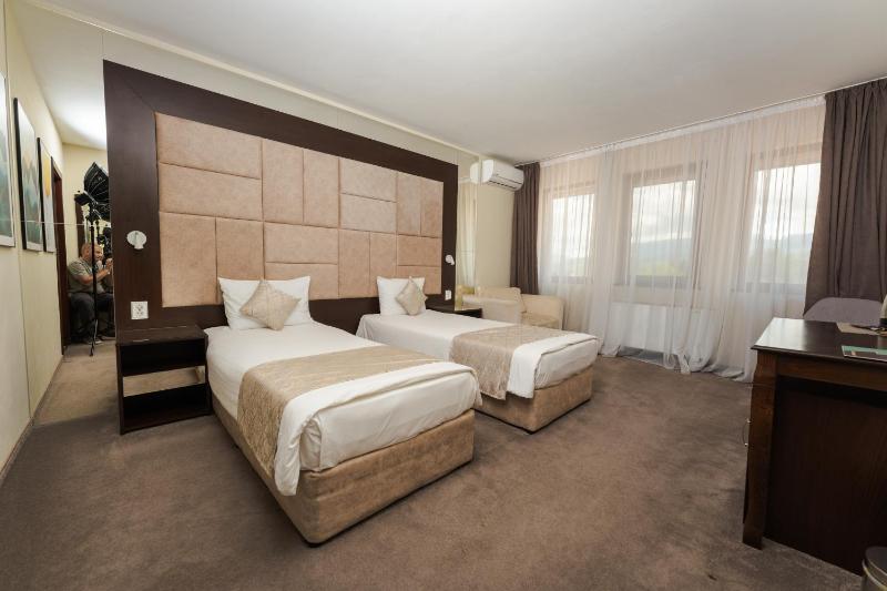Double or Twin Room image 3