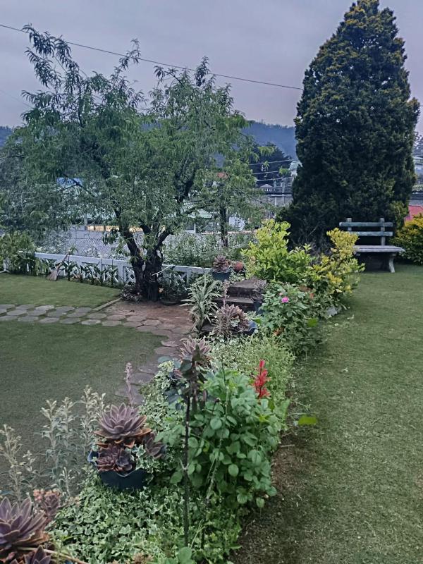 Havelock Inn - image 16