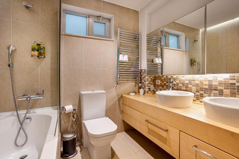 One-Bedroom Apartment image 3
