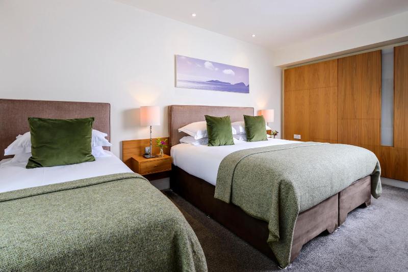 Deluxe Twin Room image 4