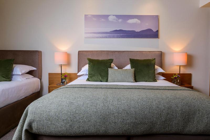 Deluxe Twin Room image 3