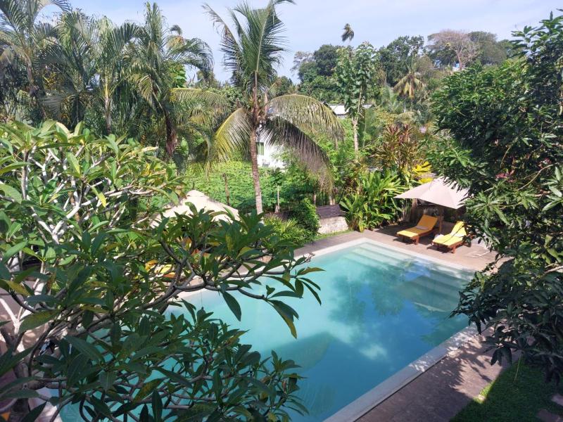 The Secret Guesthouse - image 7