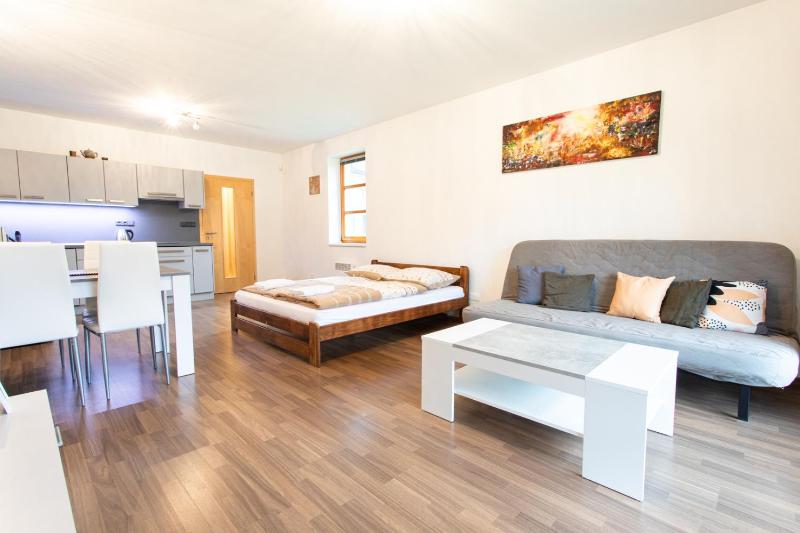 Standard Apartment with Kitchenette image 2