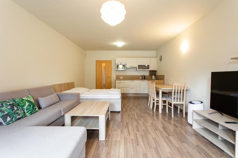 Standard Apartment with Kitchenette image 4