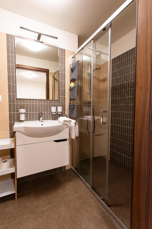Deluxe Maisonette Apartment with Kitchen and Terrace (6 Adults) image 3