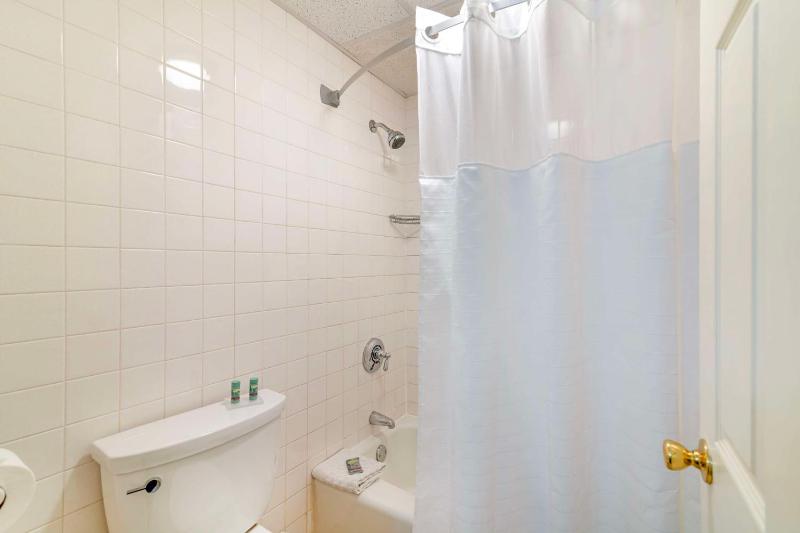 King Room - Pet Friendly/Non-Smoking image 2