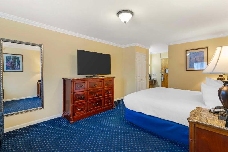 King Room - Pet Friendly/Non-Smoking image 1