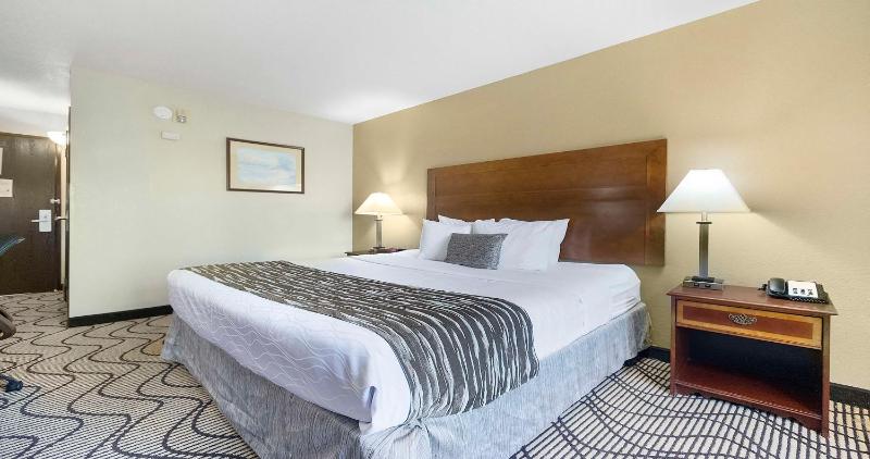 King Room image 1