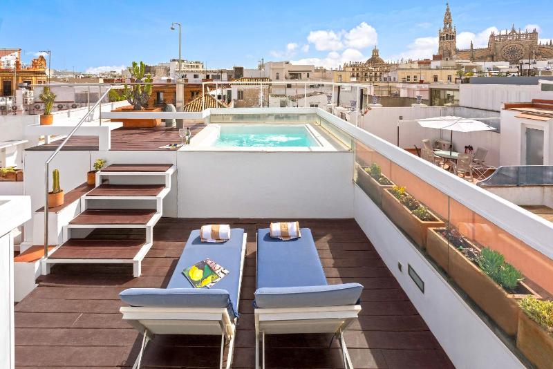 Duplex Apartment with Terrace And with Private Pool  image 4
