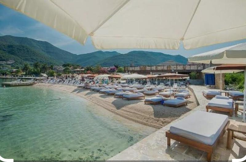 Duplex Apartment image 3