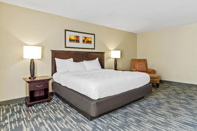 King Room with Roll-In Shower - Disability Access image 2
