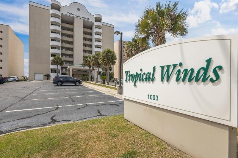 Tropical Winds 102 - image 21