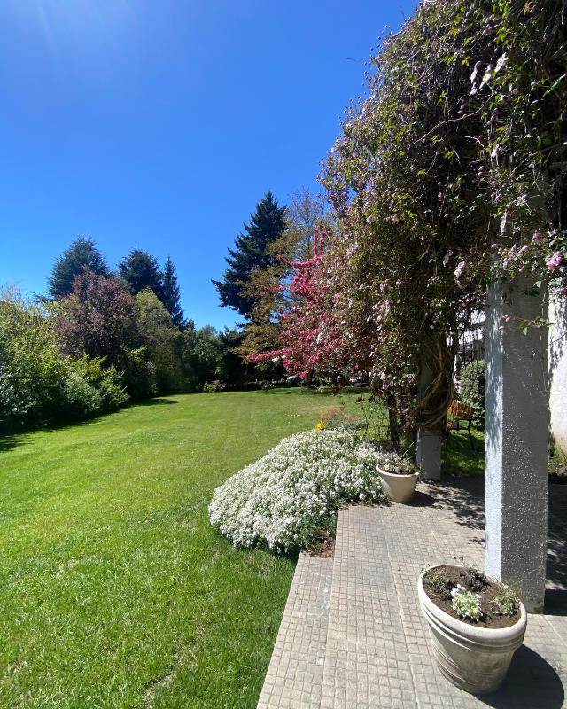 Del Prado - image 6