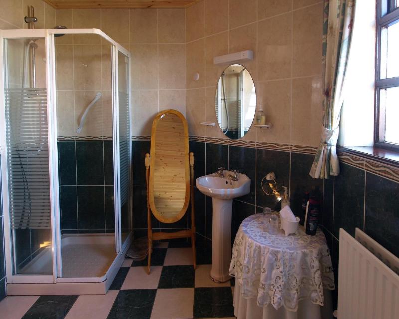 Family Room with Private Bathroom image 4