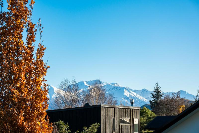 Kiwi Korner - image 12