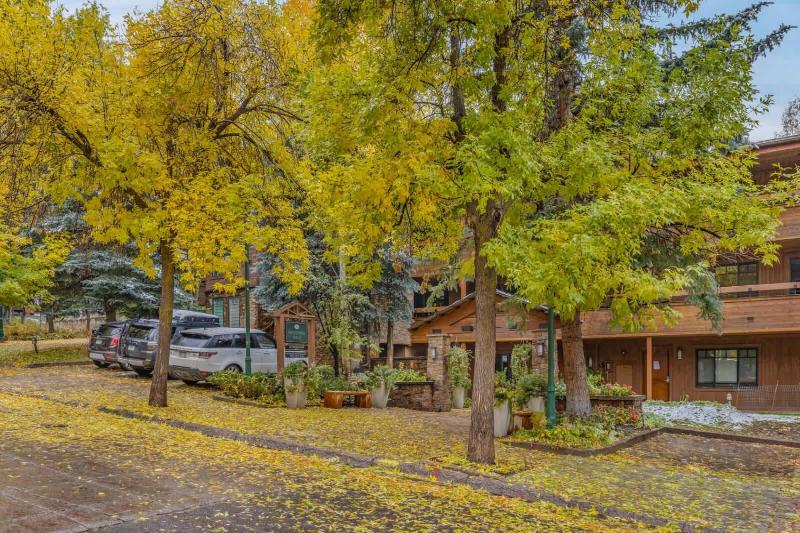 New Listing 3 BR 3 BA Aspen Condo near Gondola - image 5