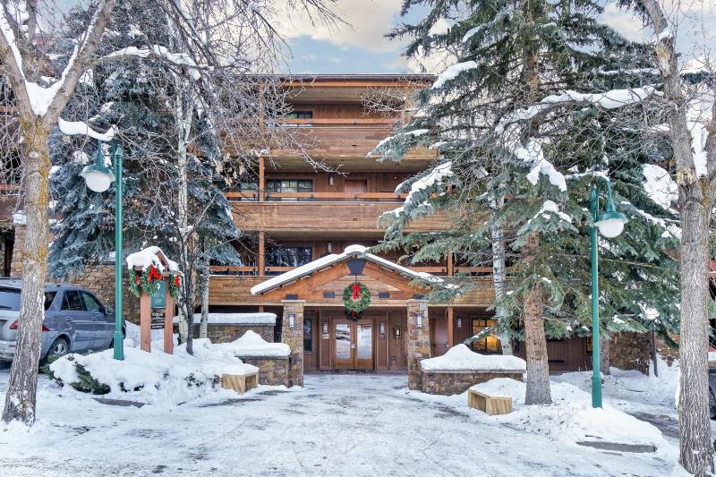 New Listing 3 BR 3 BA Aspen Condo near Gondola - image 44