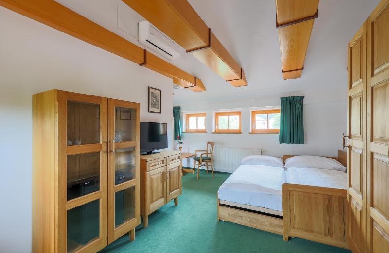One-Bedroom Premium Apartment image 3