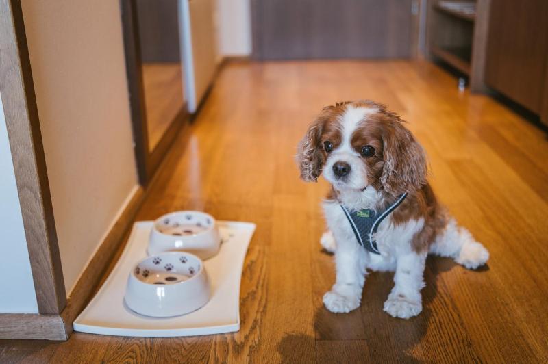 Superior Double Room image 4