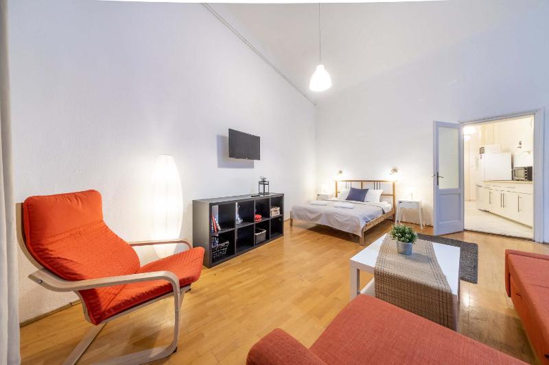 Ergola - spacious cozy 2 big rooms downtown home - image 10