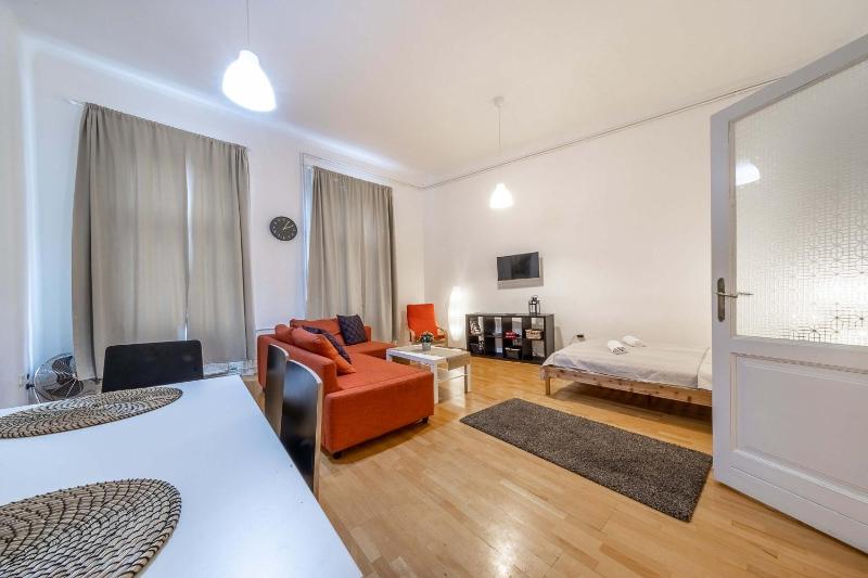 Ergola - spacious cozy 2 big rooms downtown home - image 9