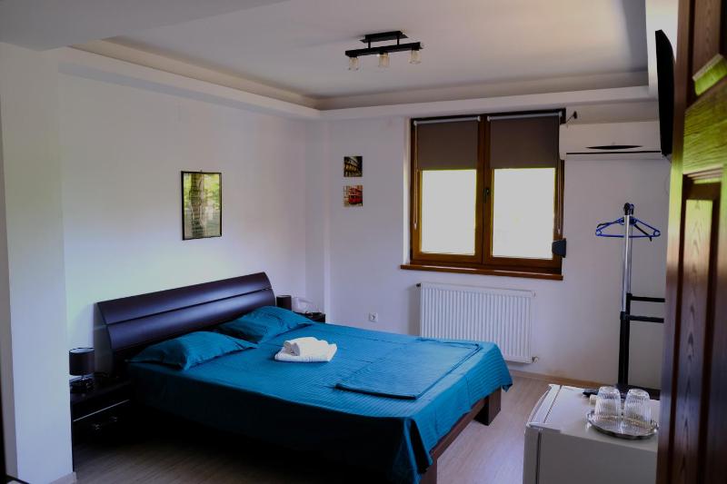 Vila Iulia - image 48