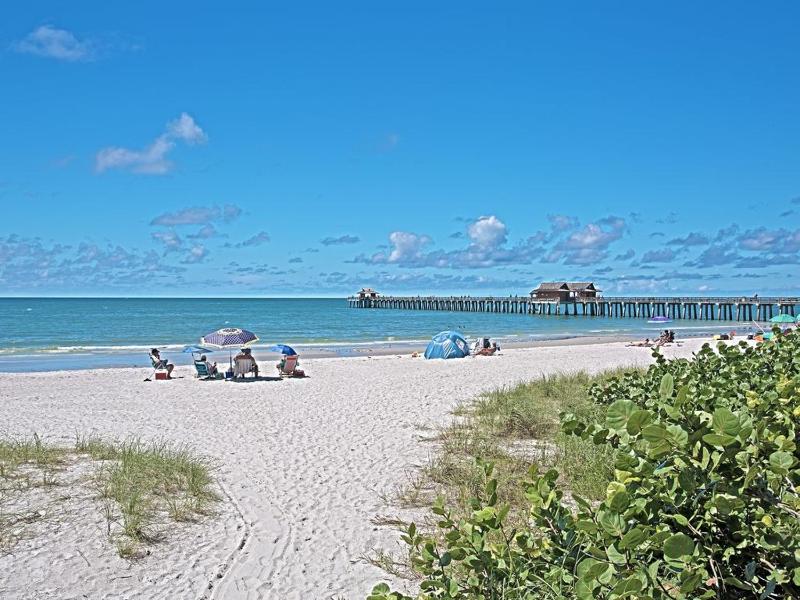 NEW Palm Tree Paradise -Close To The Beach! Beautiful Heated Pool! - image 5