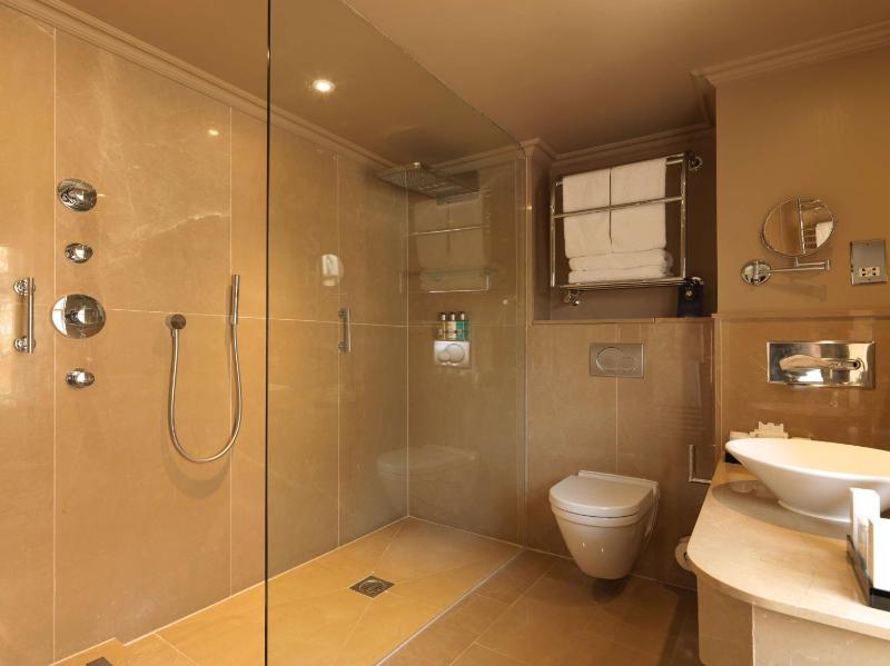One-Bedroom Suite image 4