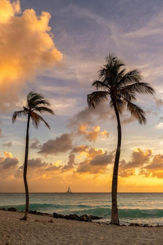 Aruba Private Studios - image 9