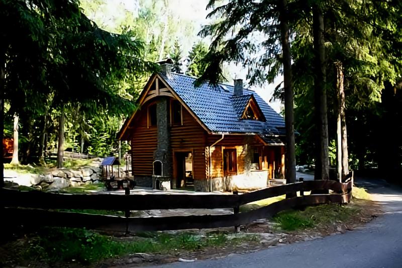 Domek Letniskowy Leśna Chata - image 21
