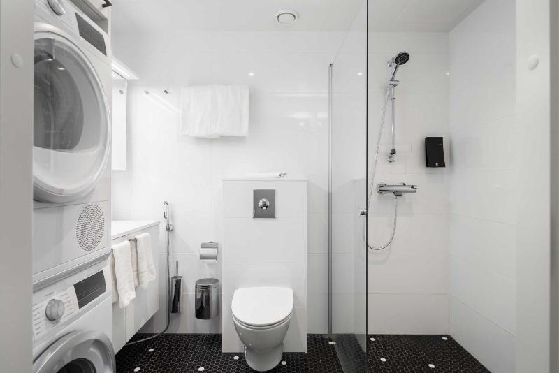 One-Bedroom Apartment image 4