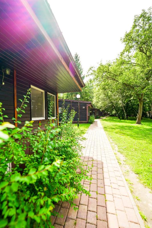 Single-story chalet for 6 people image 3