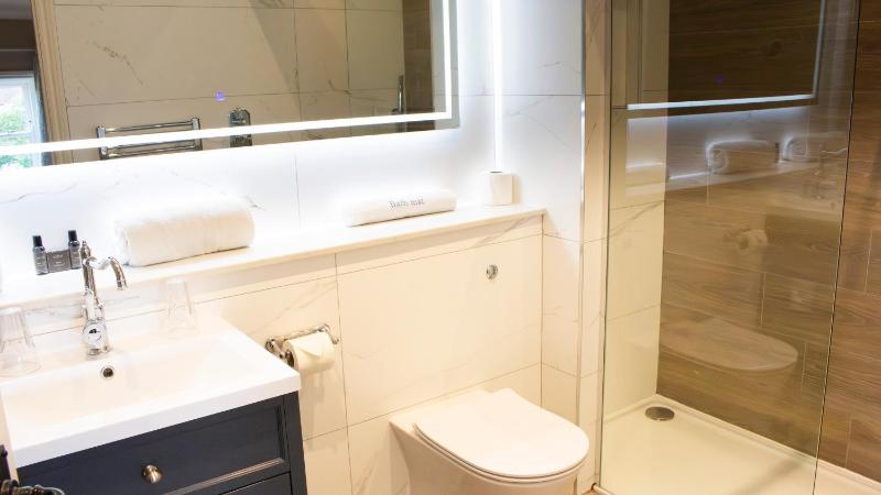 Superior Double Room image 3