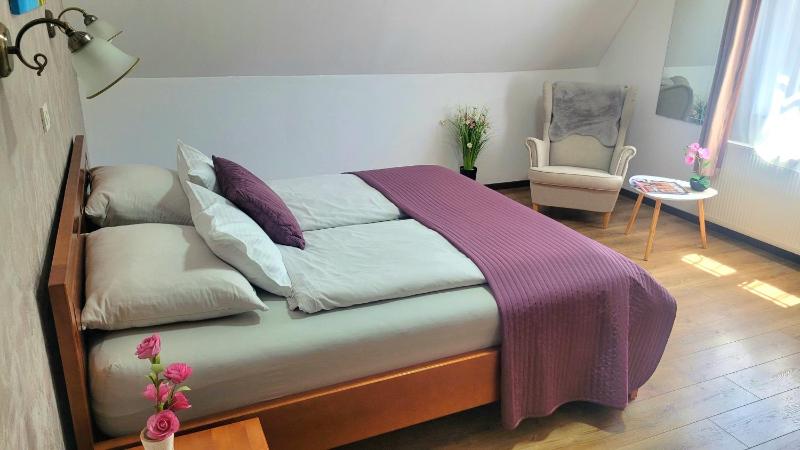 Double Room with Mountain View image 4