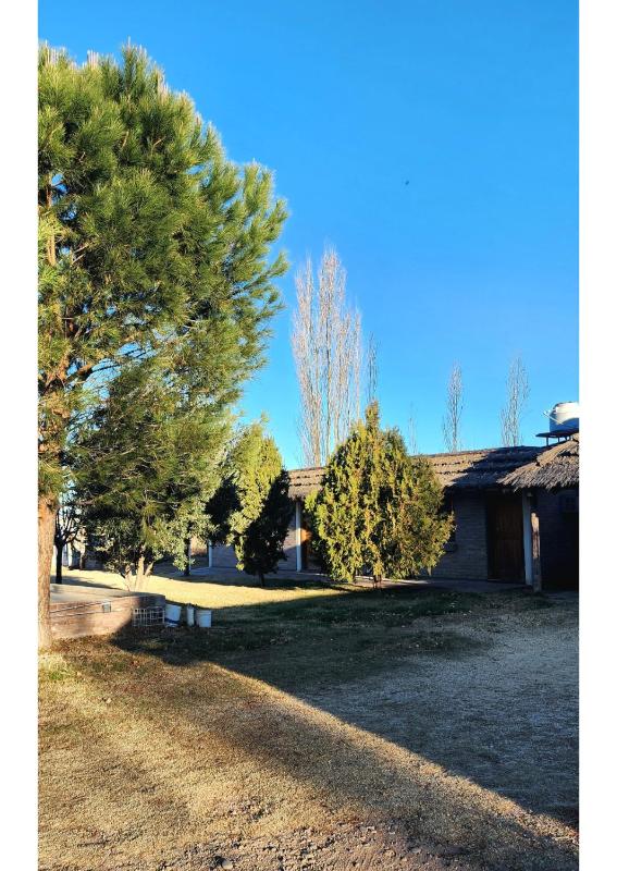 Serena Cumbre Lodge - image 3