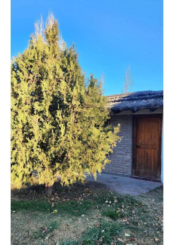 Serena Cumbre Lodge - image 15