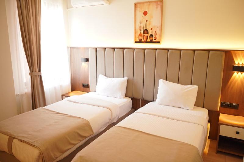 Standard Twin Room image 2