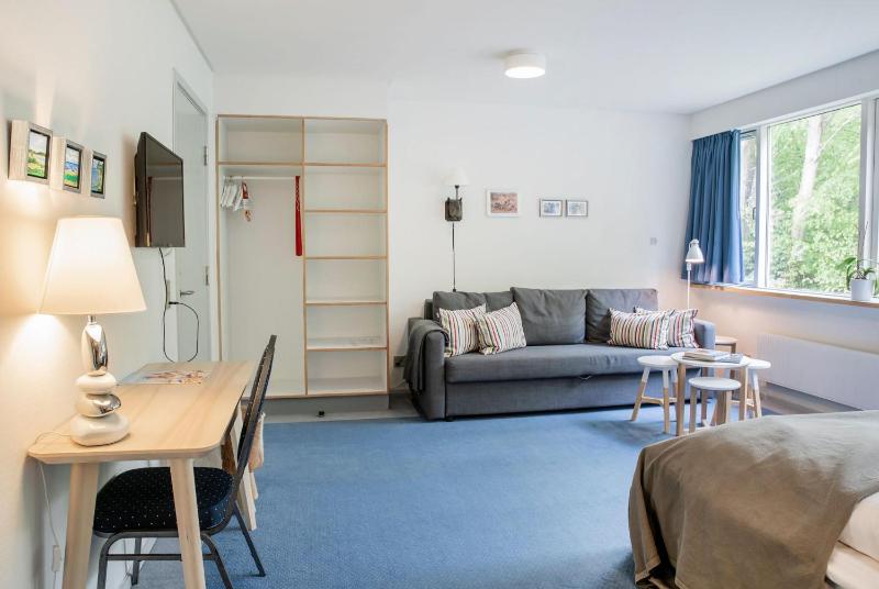 Family Room (2 Adults + 2 Children) image 4