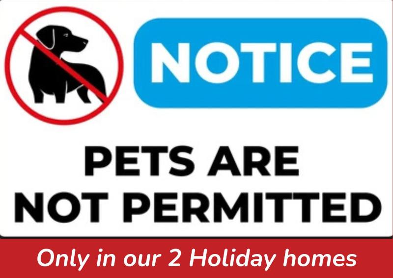 Studio Apartment - Ground Floor image 2