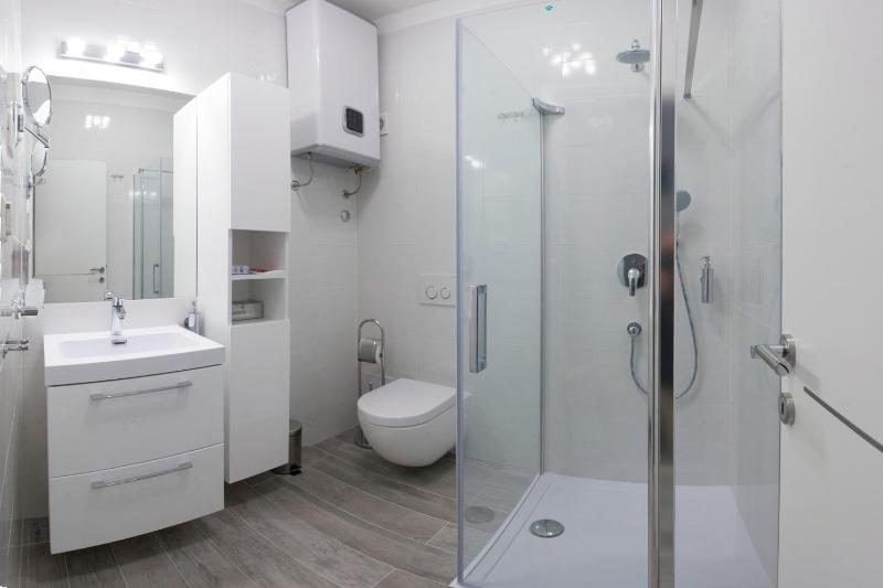One-Bedroom Apartment image 4