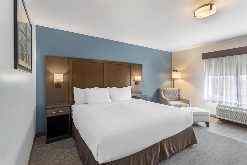 King Room with Mobility Accessible Roll-In Shower image 1
