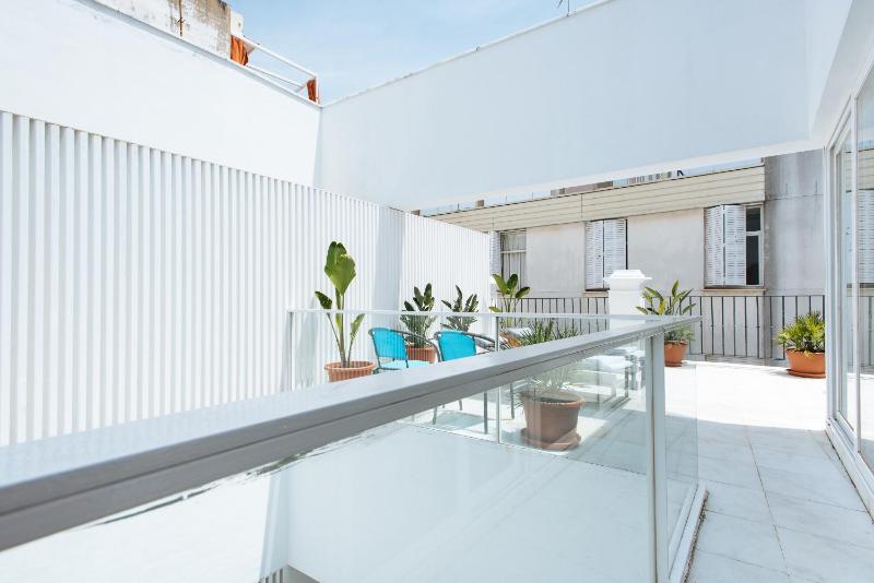 Two-Bedroom Apartment - Penthouse image 4