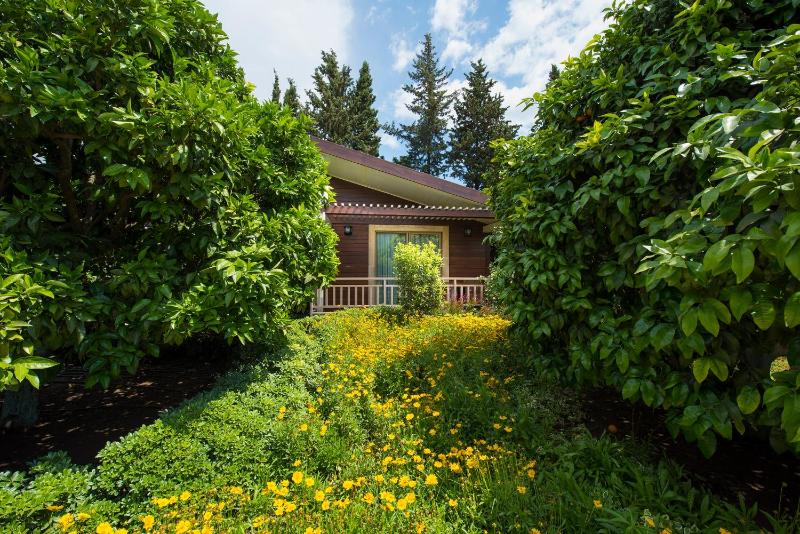 Mandalina Room image 4