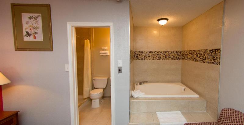 Suite with Hot Tub image 3
