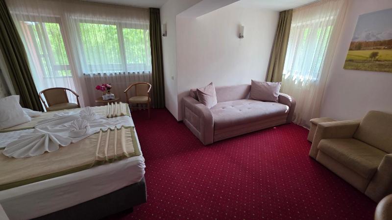 Junior Suite 4* image 2