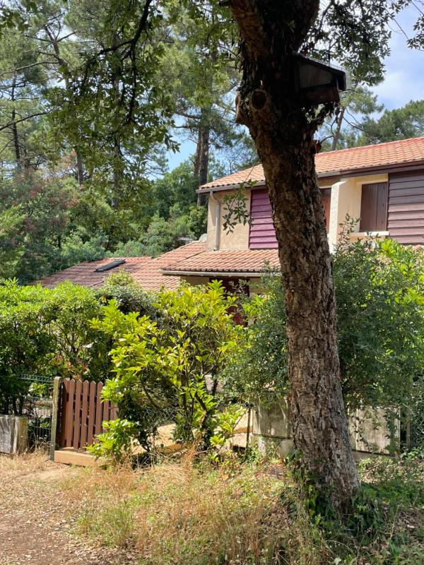 Two-Bedroom House image 3