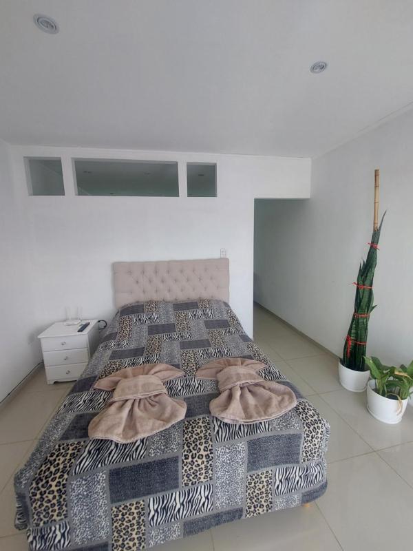 Precioso depto céntrico en San Rafael Mendoza - image 14