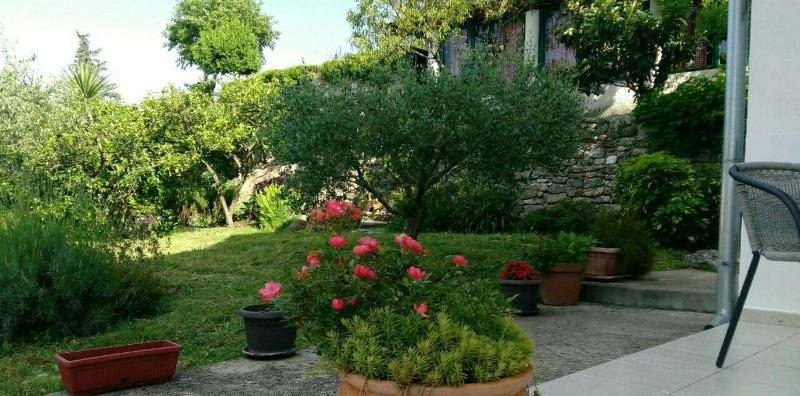 One-Bedroom Apartment with Garden View image 3